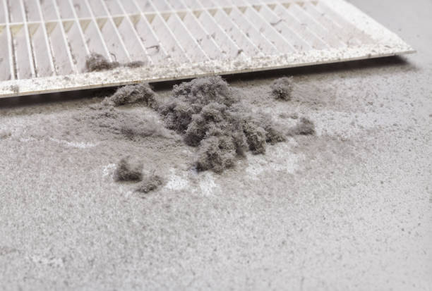 Best Air Duct Cleaning Near Me  in Deridder, LA