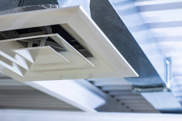 Best Home Air Vent Cleaning  in Deridder, LA
