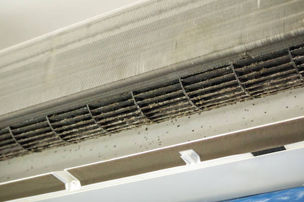 Best Best Air Duct Cleaning Company  in Deridder, LA