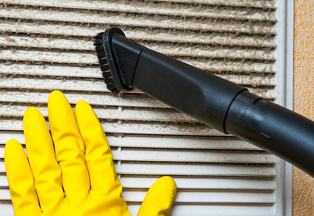 Best Home Air Vent Cleaning  in Deridder, LA